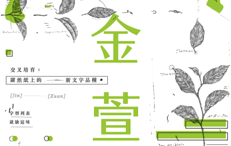 金萱字型